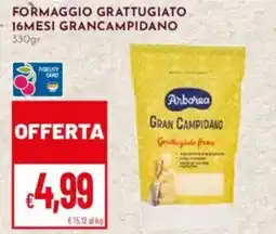 Pan Arborea formaggio grattugiato 16mesi grancampidano offerta