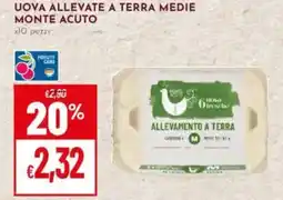 Pan Uova allevate a terra medie monte acuto offerta