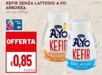 Pan Kefir senza lattosio a-yo ARBOREA offerta