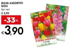 Bennet Bulbi DOM offerta