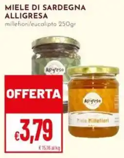 Pan Miele di sardegna ALLIGRESA offerta