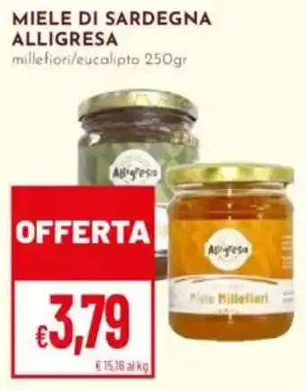 Pan Miele di sardegna ALLIGRESA offerta