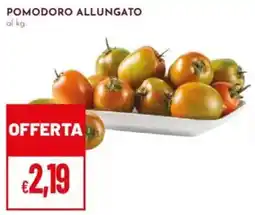 Pan Pomodoro allungato offerta