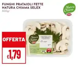 Pan Funghi prataioli fette NATURA CHIAMA SELEX offerta