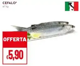Pan Cefalo offerta