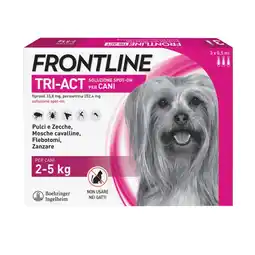 Ayoka FRONTLINE offerta