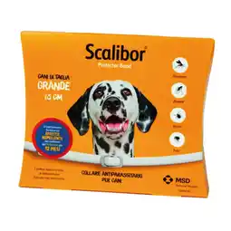 Ayoka SCALIBOR offerta