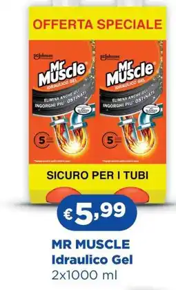 Acqua & Sapone Mr. Muscle Idraulico Gel offerta