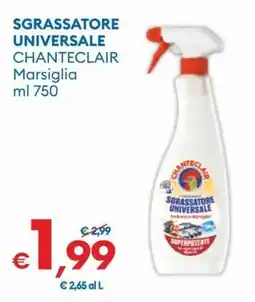 MD Discount Sgrassatore universale CHANTECLAIR offerta