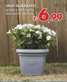 MD Discount Vaso quadrato offerta