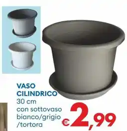 MD Discount Vaso cilindrico offerta