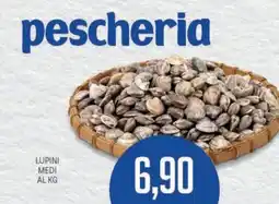Supermercati Piccolo Lupini medi offerta