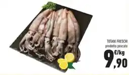 Conad Totani freschi prodotto pescato offerta