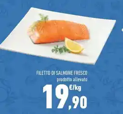 Conad Superstore Filetto di salmone fresco offerta