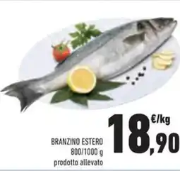 Conad Superstore Branzino estero offerta