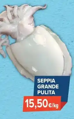Sapore di Mare Seppia grande pulita offerta