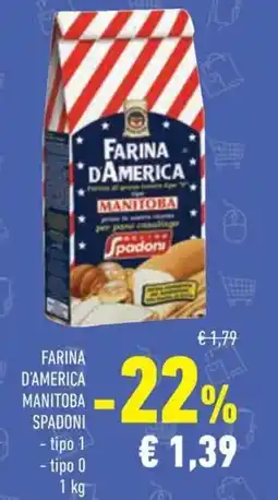 Conad Superstore Farina d'america manitoba SPADONI offerta