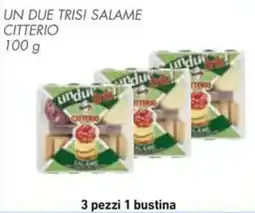 Conad Superstore Un due trisi salame CITTERIO offerta