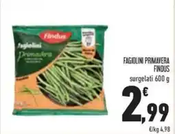 Conad Superstore Fagiolini primavera FINDUS surgelati offerta