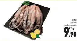 Conad Superstore Totani freschi offerta