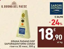 Spazio Conad Grana padano dop SAPORI&DINTORNI CONAD offerta