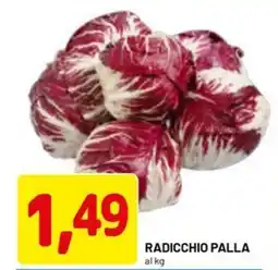 DPiù Radicchio palla offerta