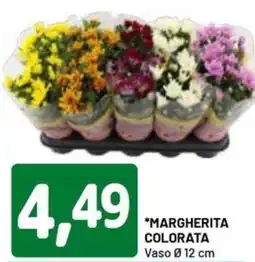 DPiù Margherita colorata vaso ø12 cm offerta