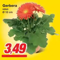 Prix Quality Gerbera offerta