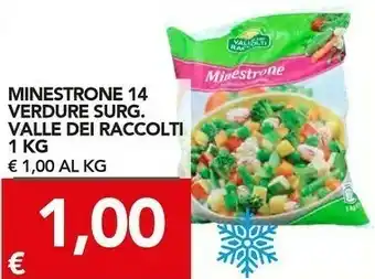 Minestrone 14 verdure surgelato