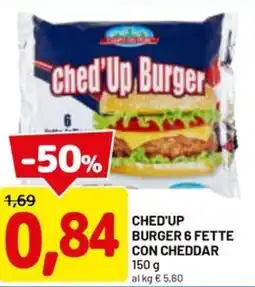 DPiù Ched'up burger 6 fette con cheddar offerta