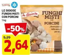 DPiù Le gioiose funghi misti con porcini offerta
