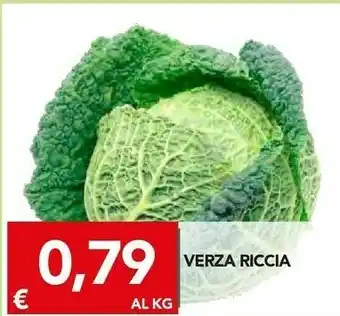 Verza ricca