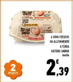 Conad 6 UOVA FRESCHE DA ALLEVAMENTO A TERRA offerta