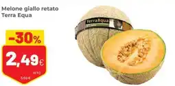 Coop Melone giallo retato Terra Equa offerta