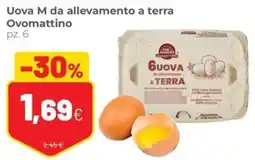 Coop Uova M da allevamento a terra Ovomattino offerta