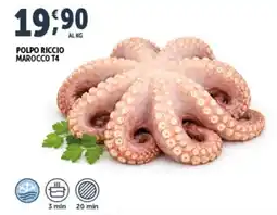 Deco Superfreddo Polpo riccio marocco T4 offerta