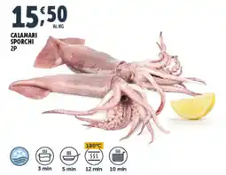 Deco Superfreddo Calamari sporchi 2P offerta