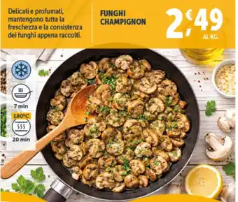 Deco Superfreddo Funghi champignon offerta