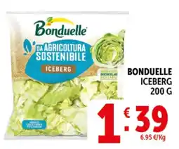 Deco Superstore Bonduelle iceberg offerta