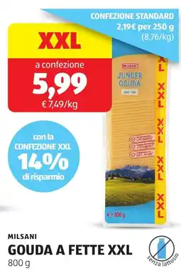 ALDI Milsani gouda a fette XXL offerta