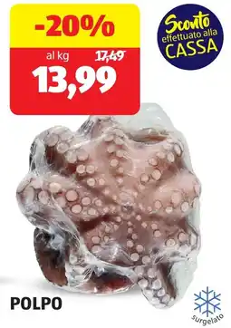 ALDI Polpo offerta