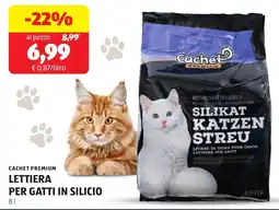 ALDI Cachet premium lettiera per gatti in silicio offerta