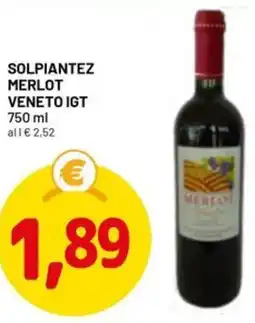 DPiù Solpiantez merlot veneto IGT offerta
