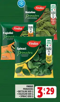 Deco Superstore Findus primavera, bietoline, fagiolini, spinaci offerta
