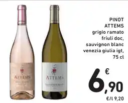 Spazio Conad Pinot ATTEMS offerta