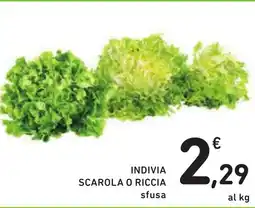 Spazio Conad Indivia scarola o riccia offerta