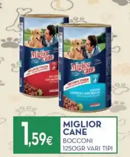 Proshop Miglior cane bocconi offerta