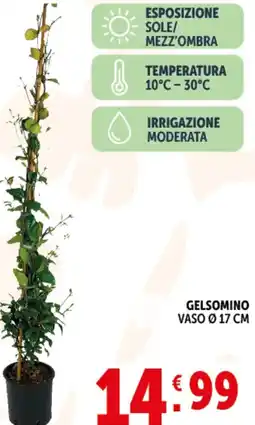 Deco Supermercati Gelsomino offerta