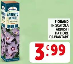Deco Supermercati Fiorand in scatola arbusti da fiore da piantare offerta