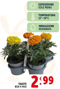 Deco Supermercati Tagete offerta